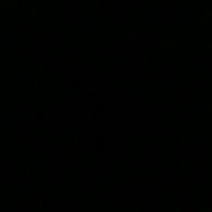 Meet your Posher, Garlon